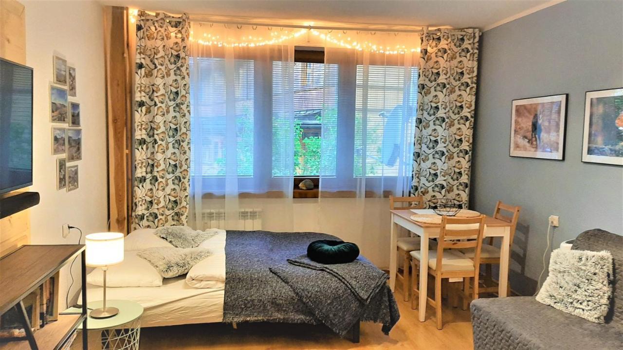 Studio Mila I Nido W Centrum Apartzakop زاكوباني المظهر الخارجي الصورة