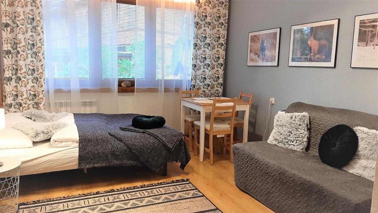 Studio Mila I Nido W Centrum Apartzakop زاكوباني المظهر الخارجي الصورة
